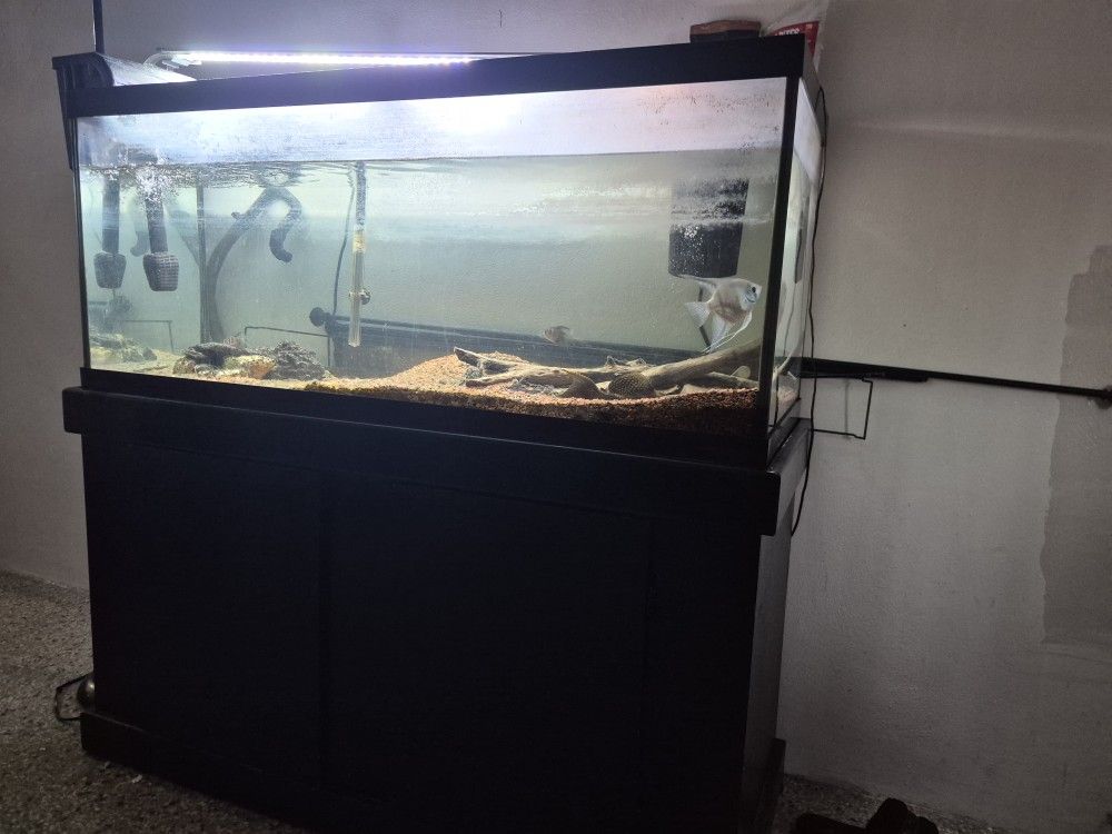 75 Gallon AQUARIUM & STAND