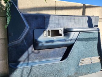 Obs door panel