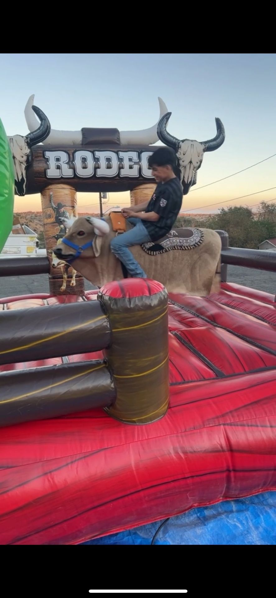 Mechanical Bull