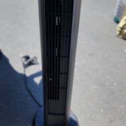 Fan 
