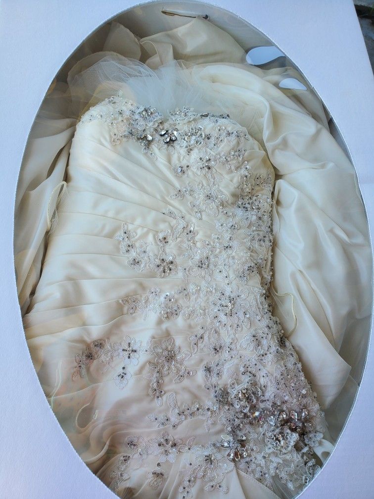 Wedding Dress 