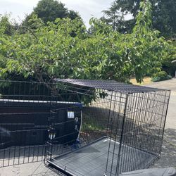 XL Large Dog Kennel Crate Collapsible Like In Good Condition 42" L by 28" W by 33" H