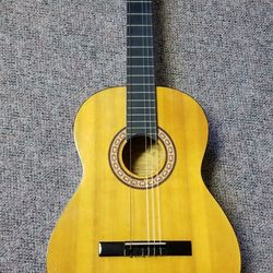 $30 Acoustic Guitar w/ Hard Case!  Castilla Cn-800