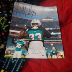 Miami Dolphins 