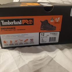 Timberland Pro Endurance Size 12