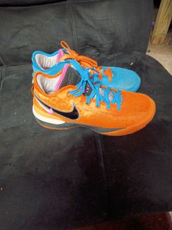 LeBron Orange And Blue Zebra