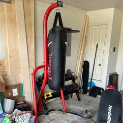Everlast Punching Bag