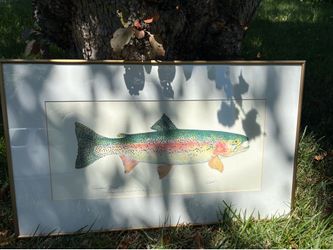 Eileen Klatt Trout art