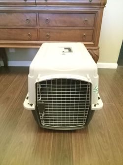 Kennel