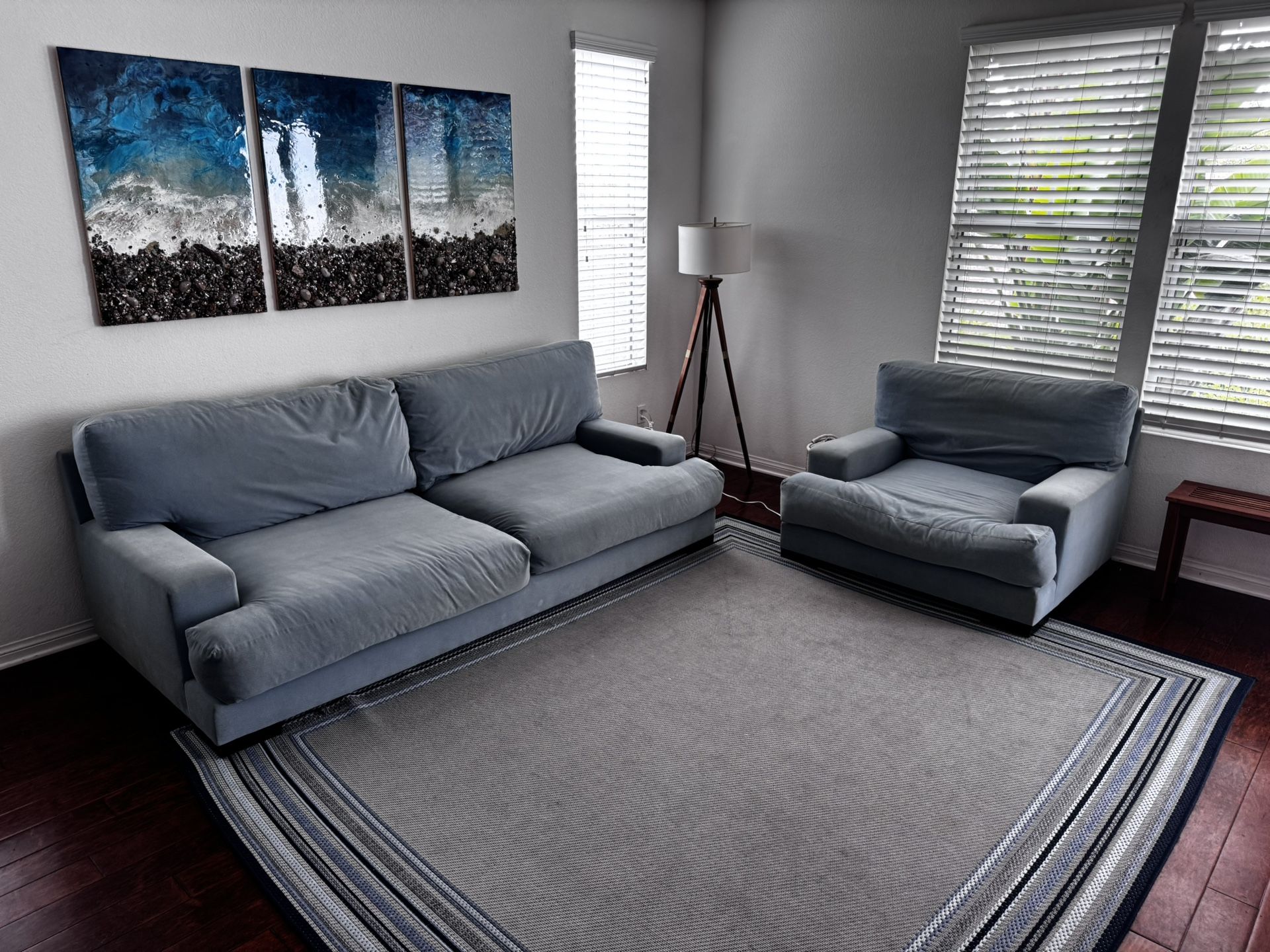 Goose down couches