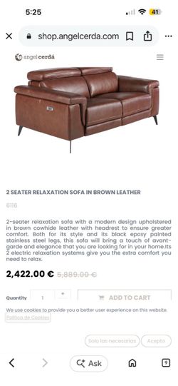 Angel Cerda Leather Relaxation Sofa