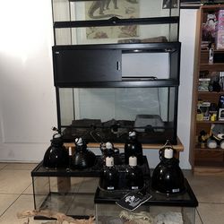 Reptile Tanks,lamps,water Bowls, Etc $ 350 For All Open To Offers