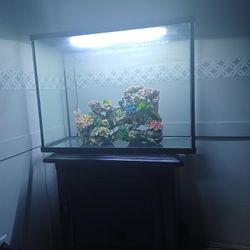 Tank 