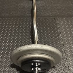 NEW Standard Steel Curl Bar with Cast Iron Weight Plates Gently Used pairs: 24#, 10 & 5 #. Total: 96 pounds