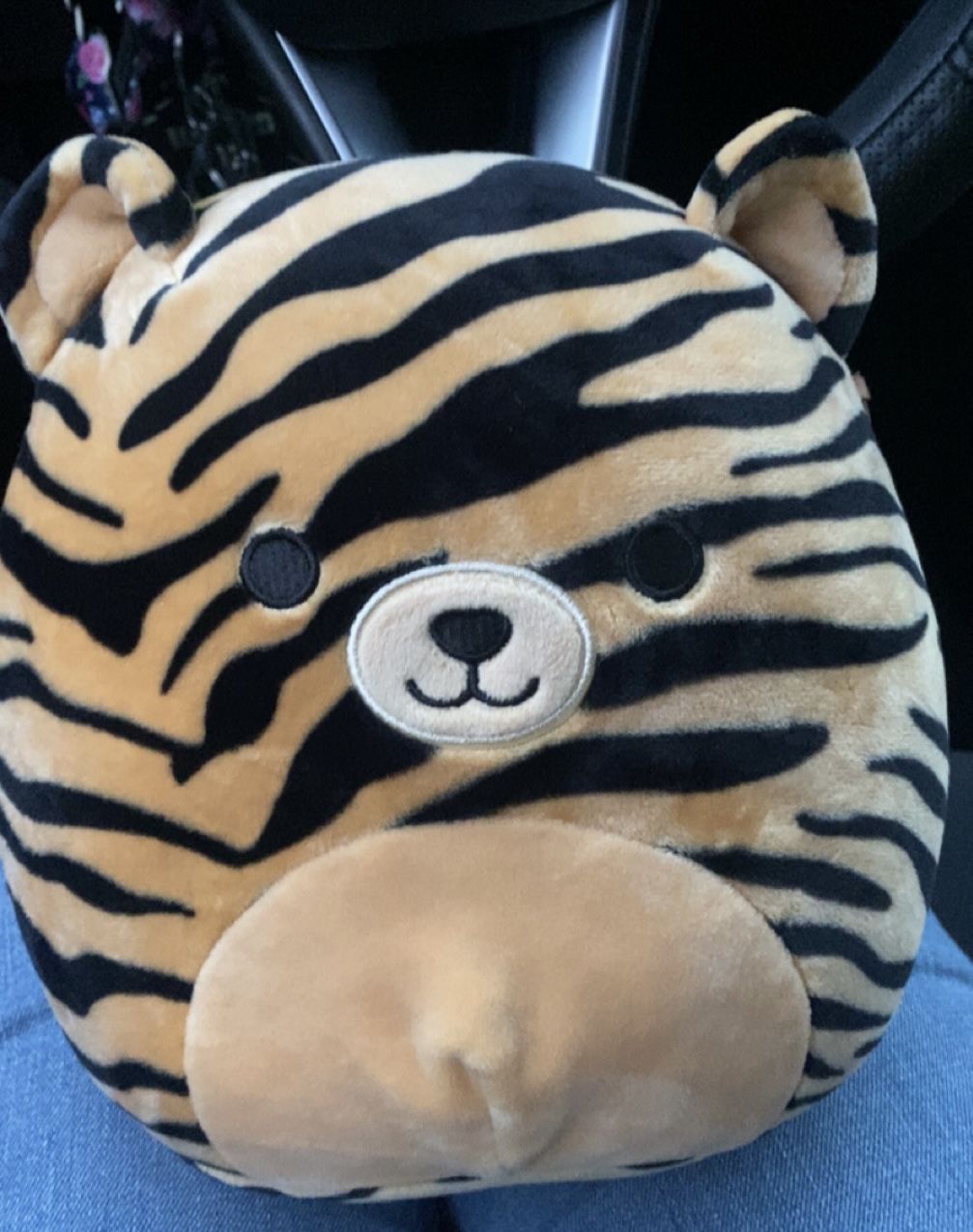Tina The Tiger Squishmallow 8 In