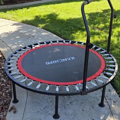 Fitness Trampoline 