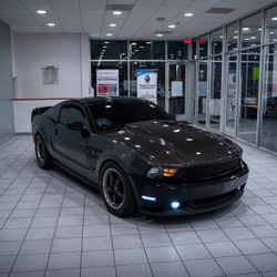 Cowl Hood CF mustang 10-12 