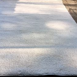 Large Carpet 