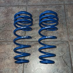 Roush Rear Springs