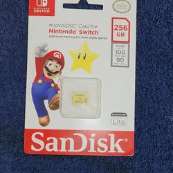 Nintendo Swtich Flash Drive 256gb 