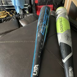 Baseball’s Bat