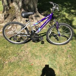 24” Mountain Bike 