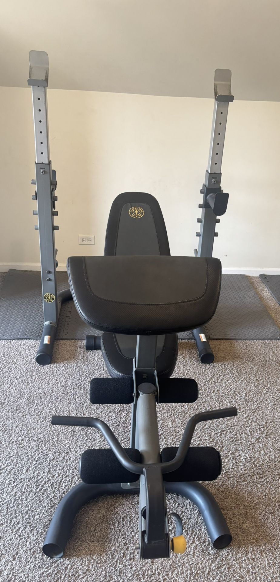Gold's Gym Adjustable Workout Bench with Squat Rack, Leg Extension, Preacher Curl, and Weight Storage