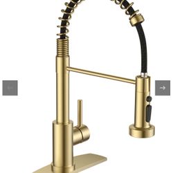 FORIOUS Kitchen Faucets With Sprayer, Gold Stainless Steel Sink Faucet