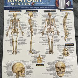 Anatomy $ Nutrition For Body & Health 