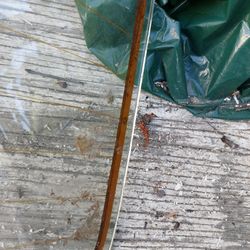 Rear Window (Windshield) Vw Beetle/Super Beetle 