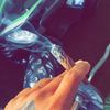 Snxxp 