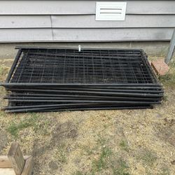 Dog Pen