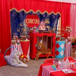 Circus/ Zoo Party Decor Price To Sell 