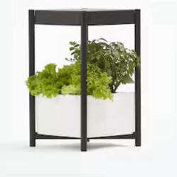 Miracle-Gro Twelve Indoor Growing System LED Plastic Hydroponic System