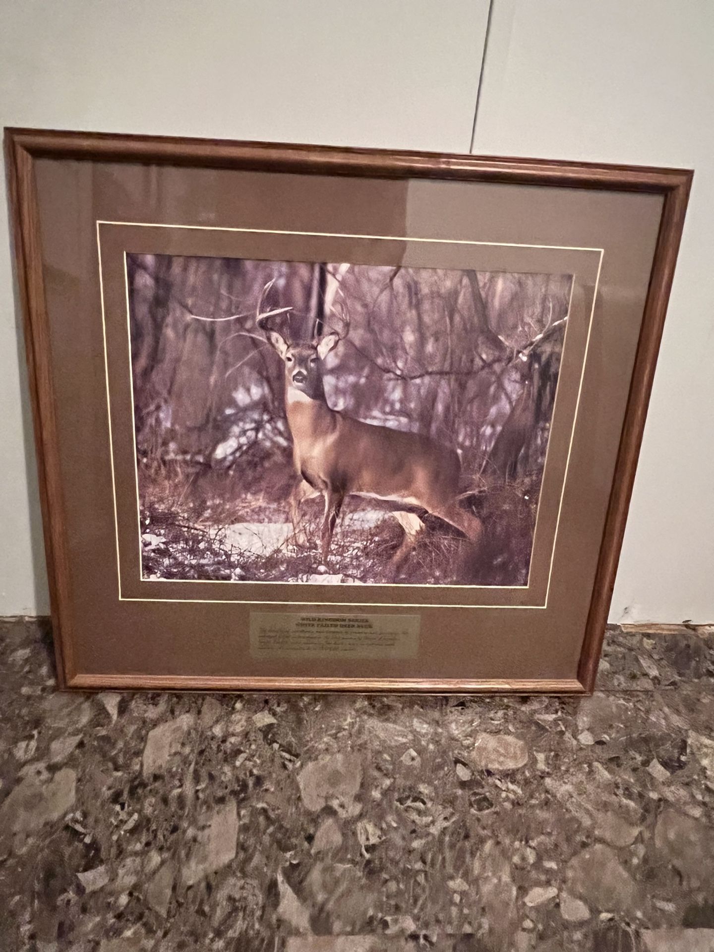 Antique Deer Picture