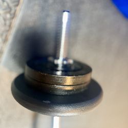 Standard Steel Curl Bar with Cast Iron Weight Plates pairs: 15#, & 4X 5 #. Total: 66 pounds
