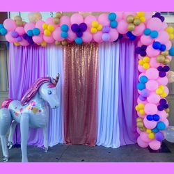Balloon Garland and backdrop