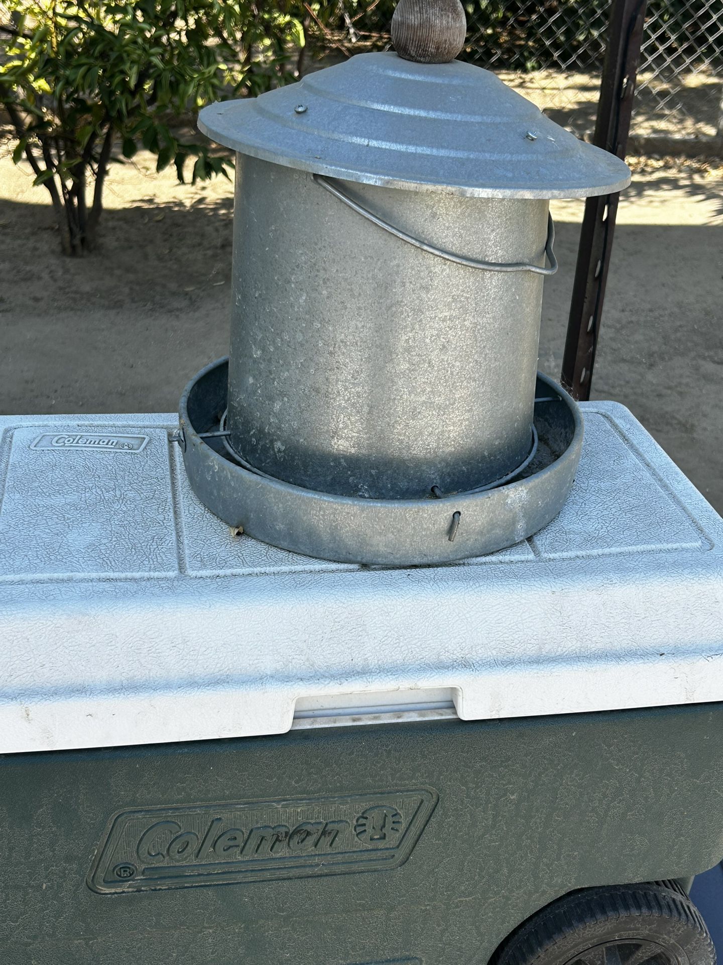 Metal chicken feeder