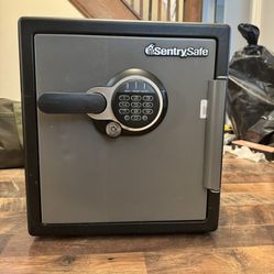 Sentry Safe