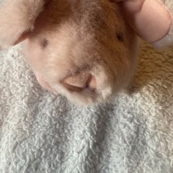 VTG Mary Meyer Stuffed Pig Pink Plush Piglet 10”