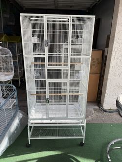 Bird Cage