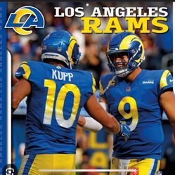 Rams Vs Dolphins 