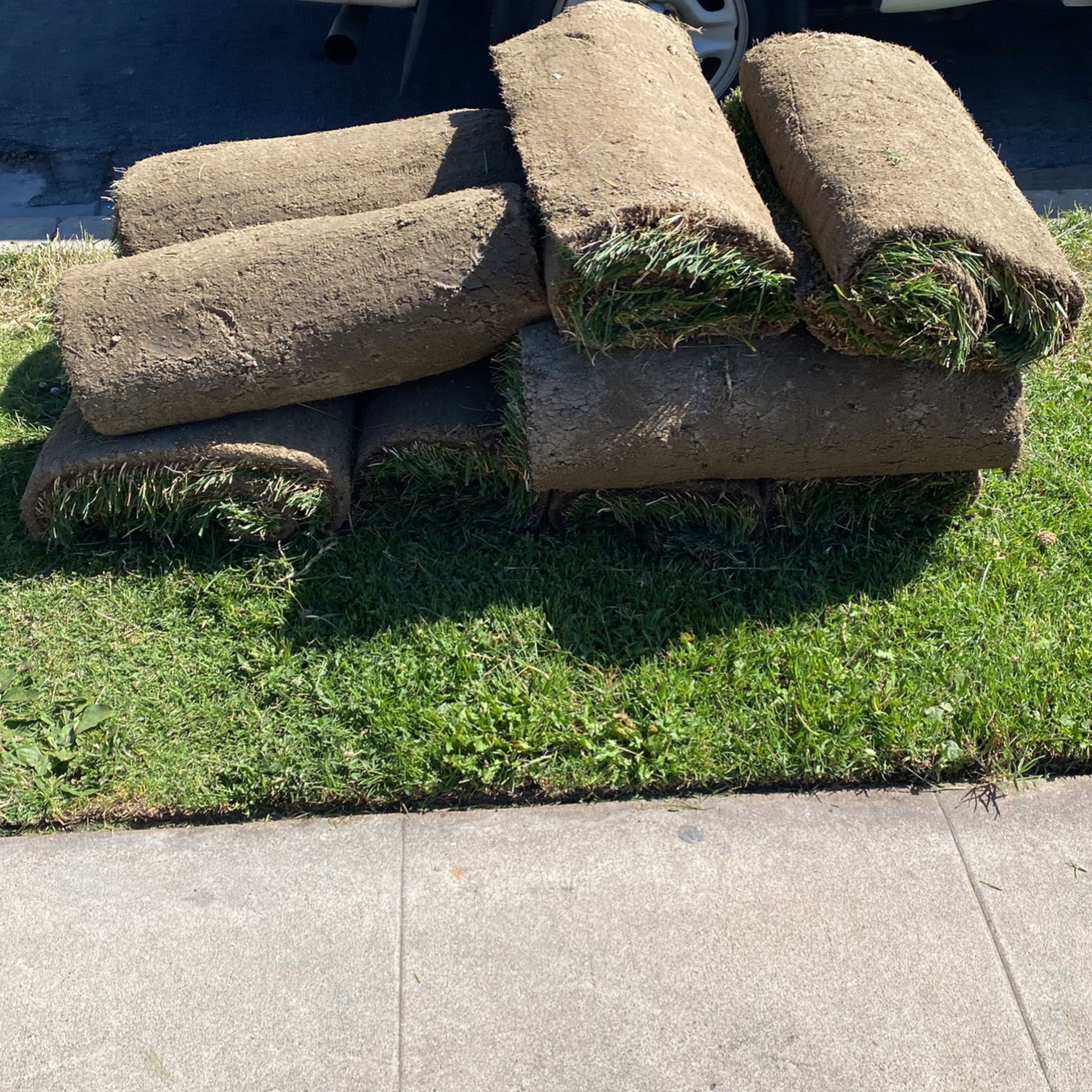 Sod