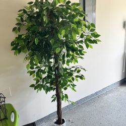 Artificial Ficus Tree