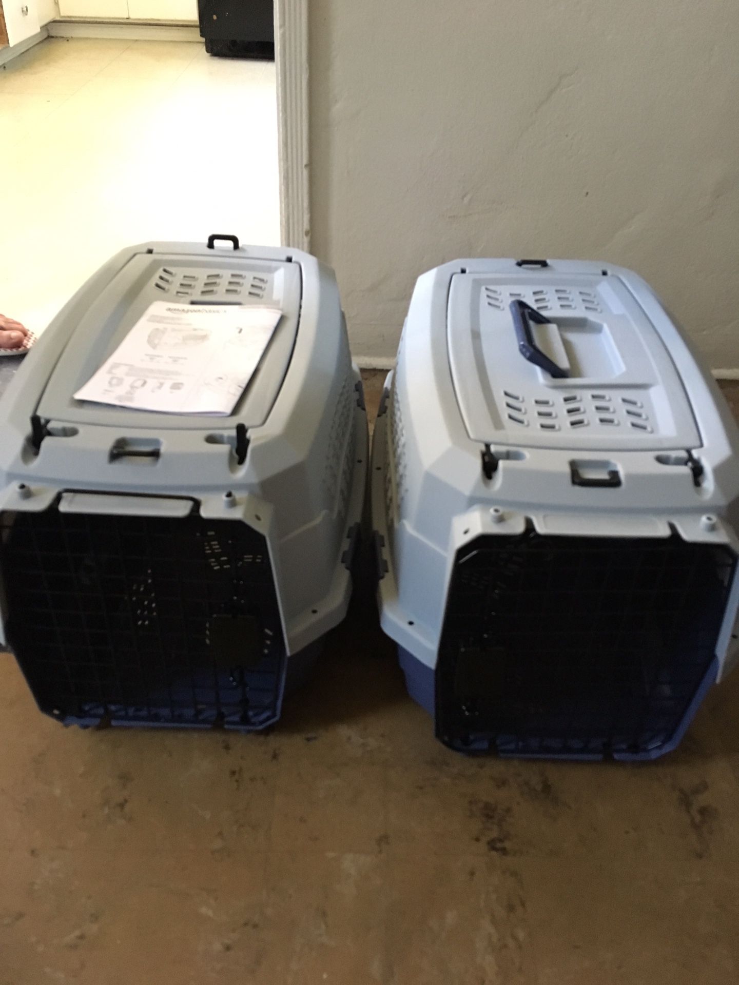 Cajas para perros