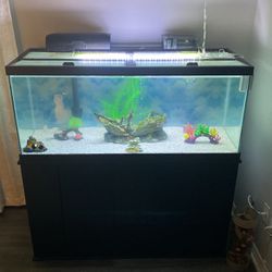 75 Gallons Fish Tank With Stand And All Filter And Decoration 