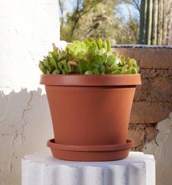 ✨Set of Terracotta Terra-Plastic Planter✨