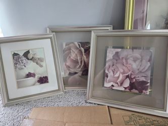 Set of 3 Framed Floral Prints