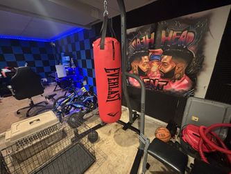 punching bag wit stand 