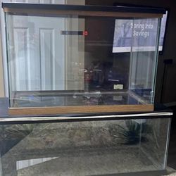Two Reptile Tanks With Screen Lids 